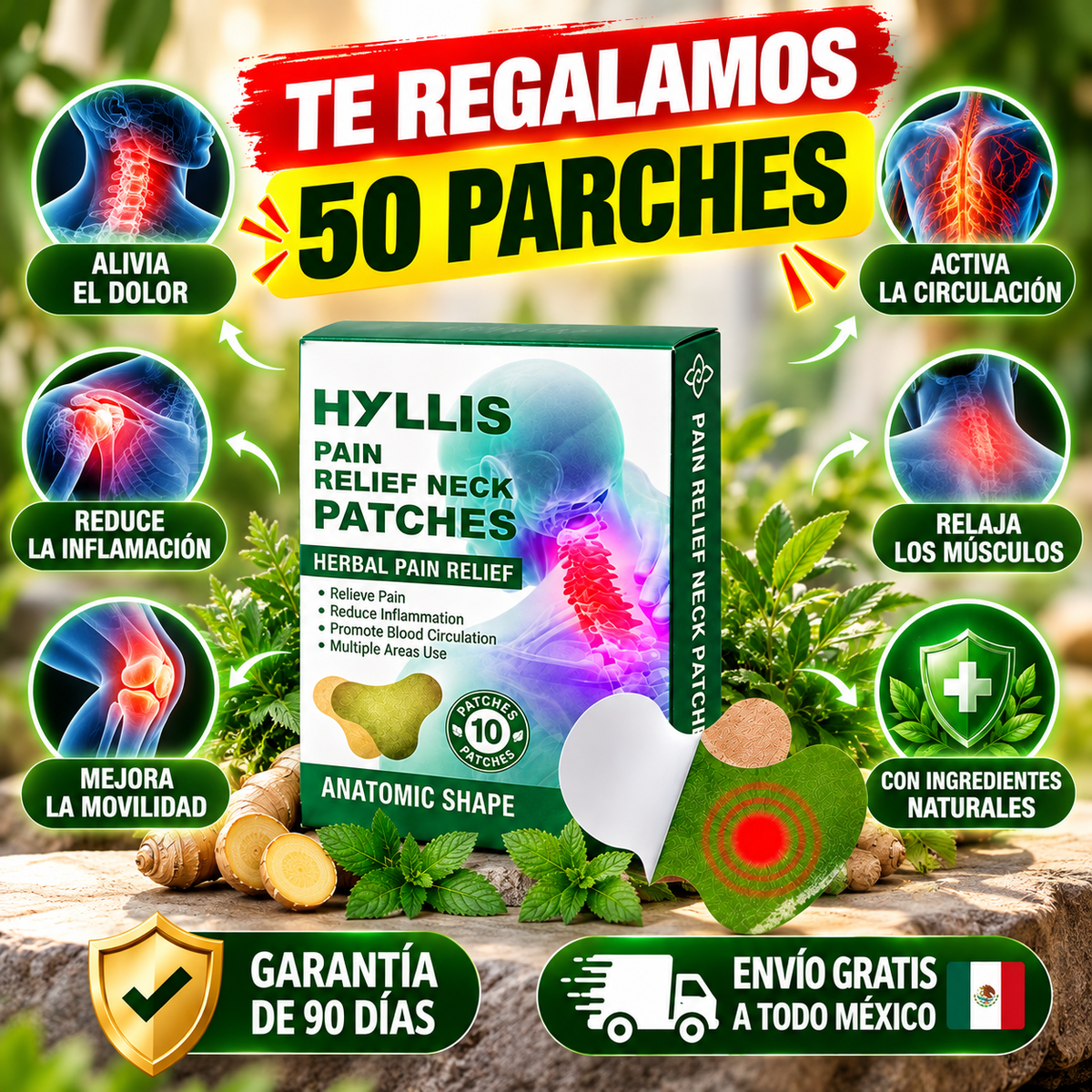 AliviaFlex: Parches Herbales de Alivio Muscular y Articular para Cuello, Espalda, Hombros y Rodillas.