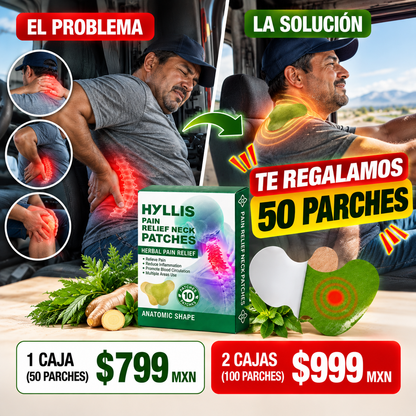 AliviaFlex: Parches Herbales de Alivio Muscular y Articular para Cuello, Espalda, Hombros y Rodillas.
